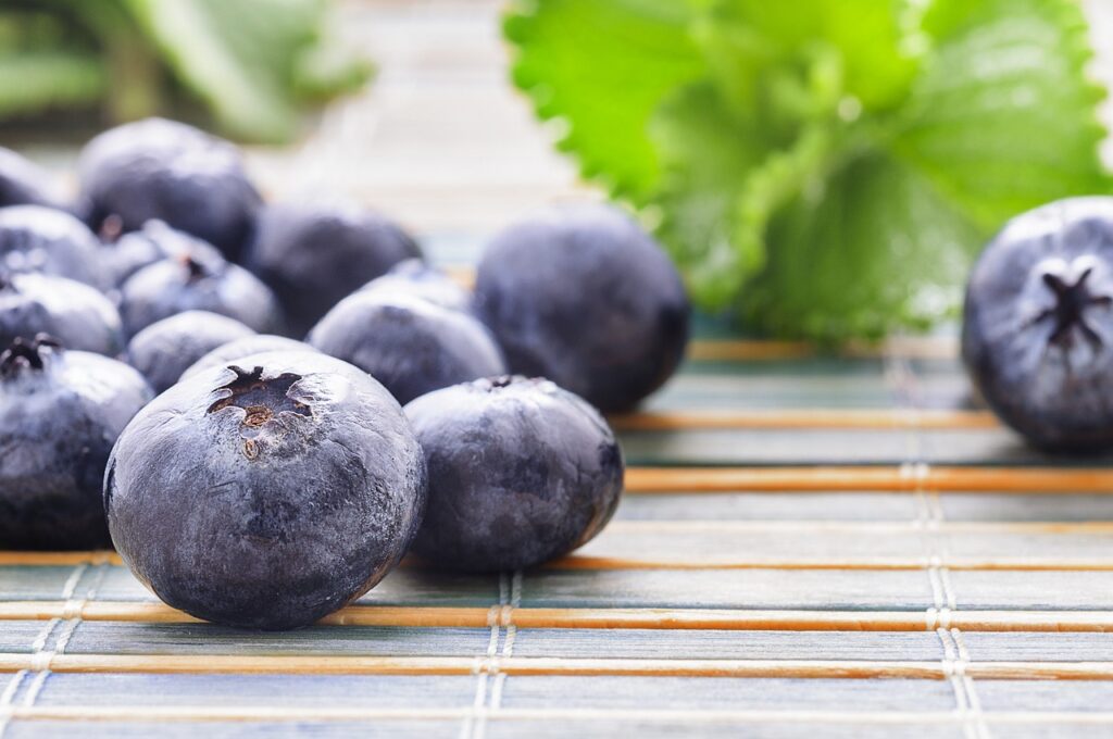 Anthocyane in Heidelbeeren als natürliche Pflanzenstoffe mit Wirkung und Marktpotenzial